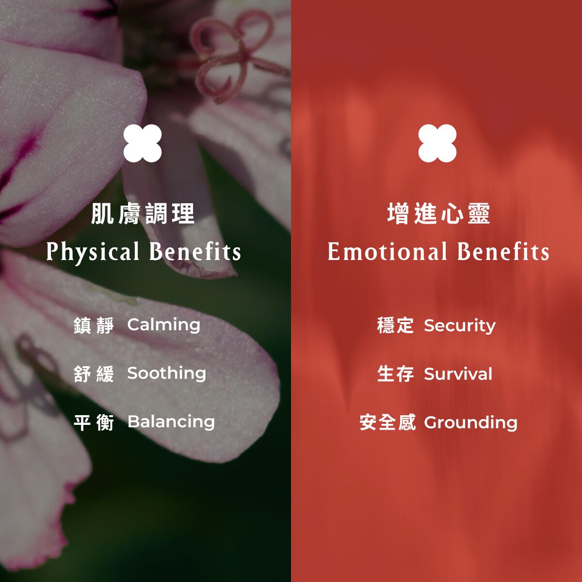 【限時任選65折起】玫瑰天竺葵舒緩精油面膜 - Image 2