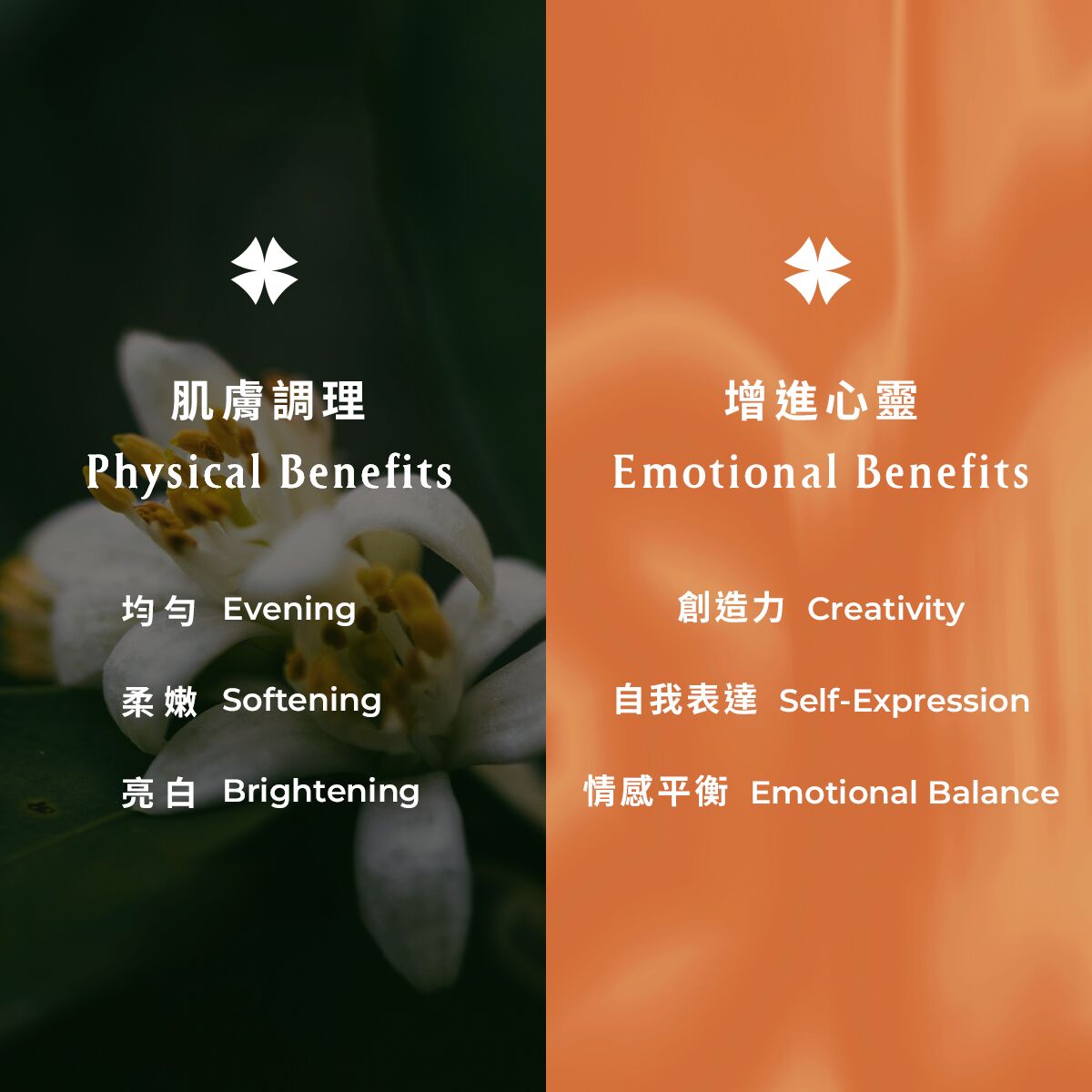 橙花嫩白精油面膜【任選8折再加贈】 - Image 2