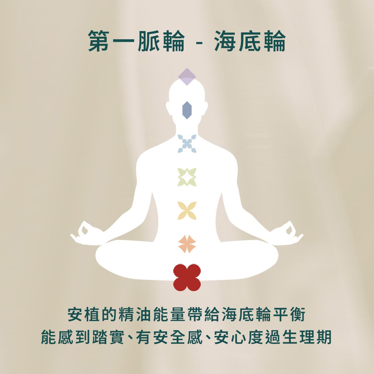 NO. 1 安植精油滾珠瓶 - Image 5