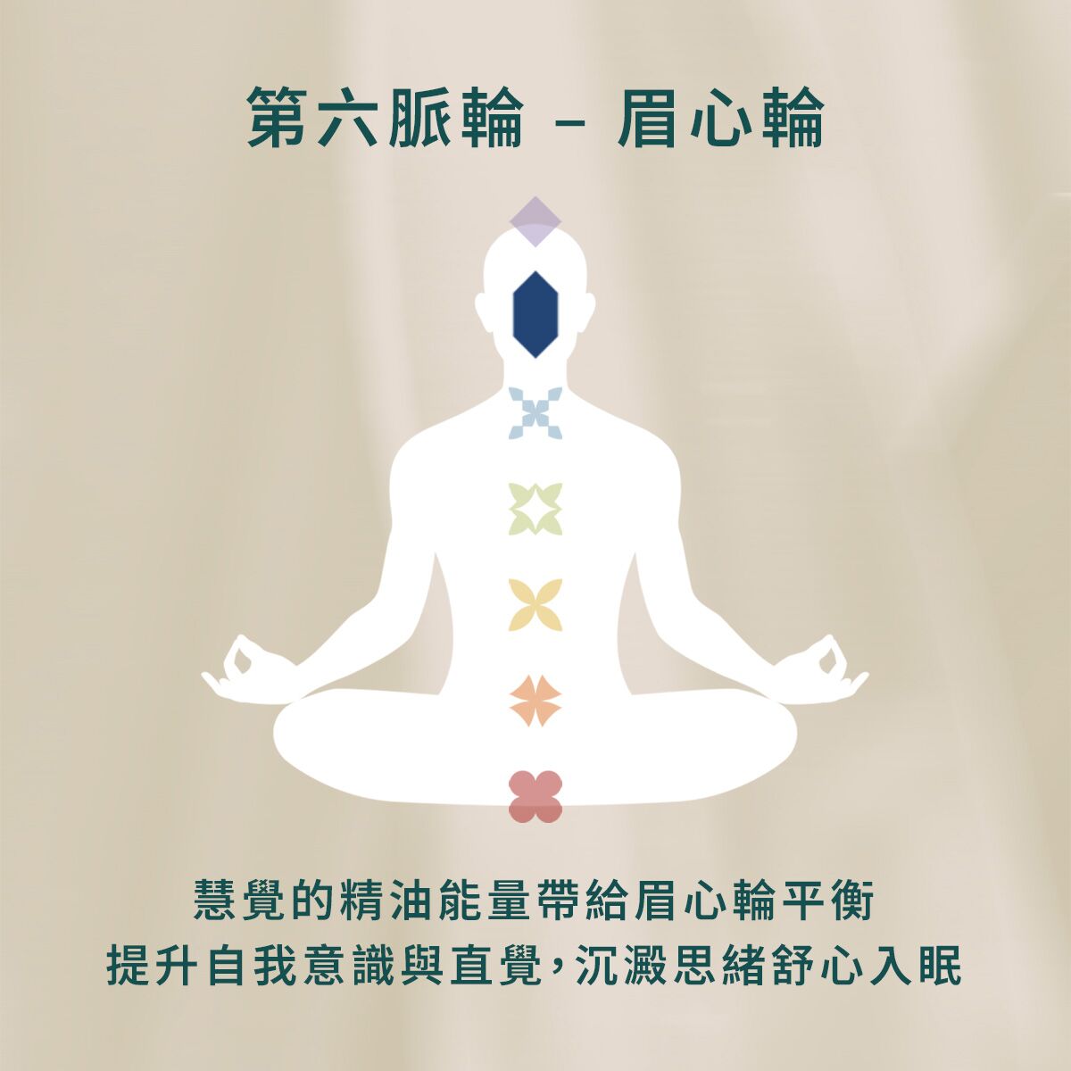 NO. 6 慧覺精油滾珠瓶 - Image 5