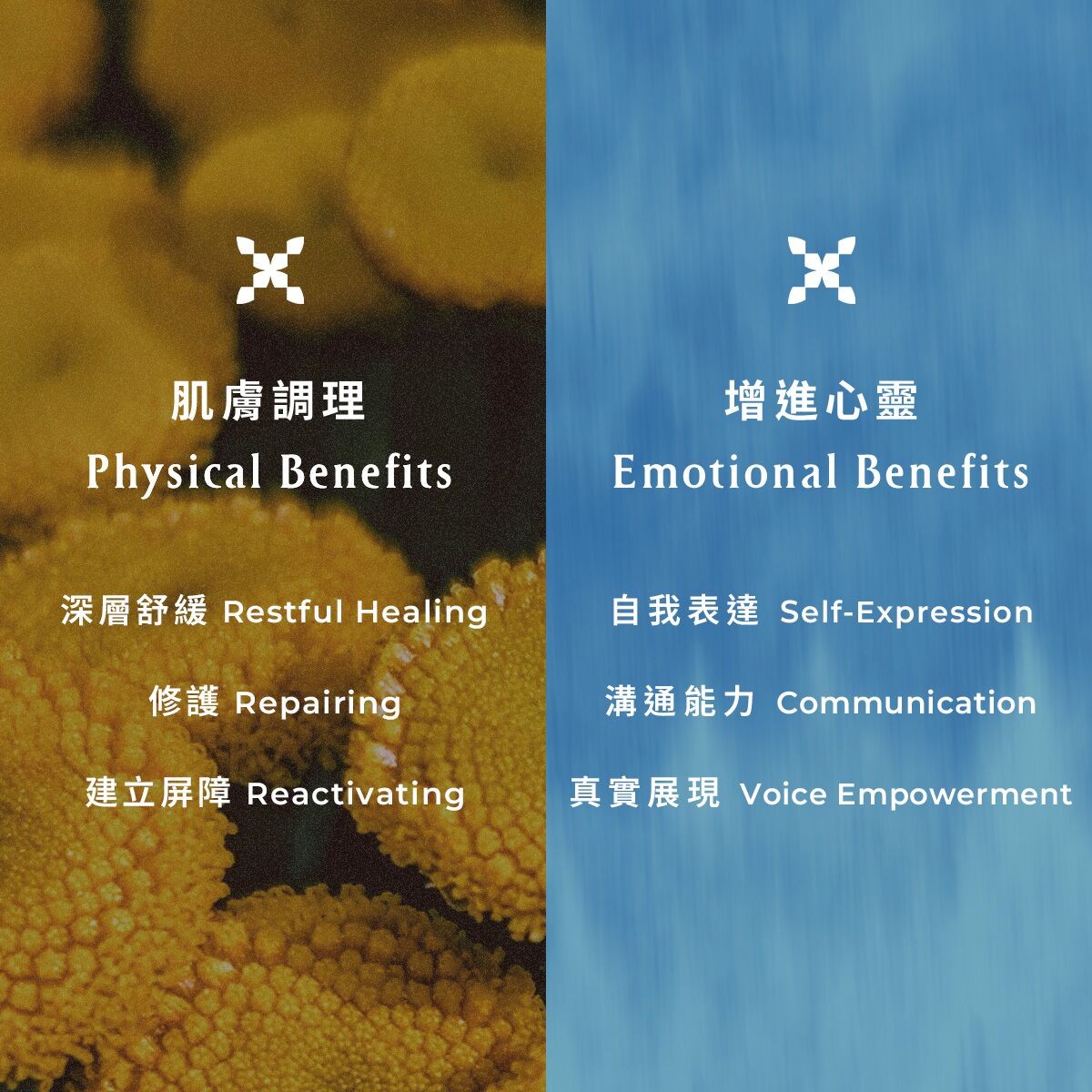 New 藍艾菊舒眠修護精油面膜 - Image 4